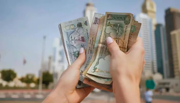 واحد پول دبی واحد پول دبی